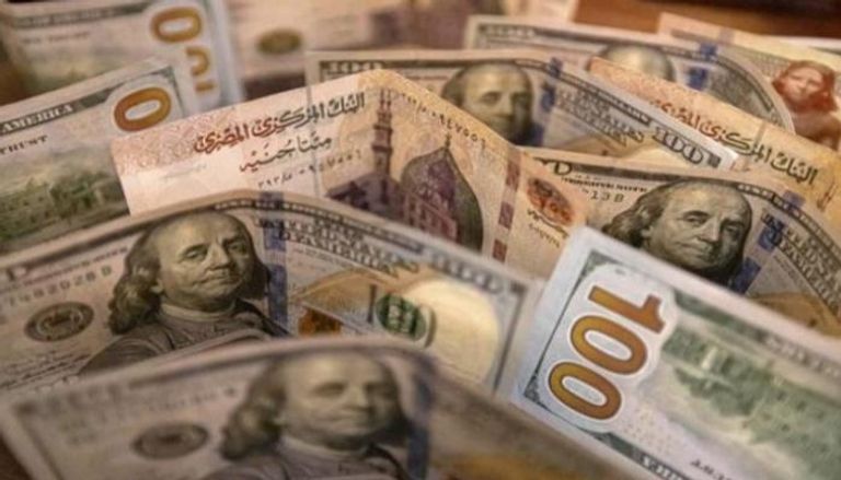 استقرار سعر الدولار اليوم في مصر