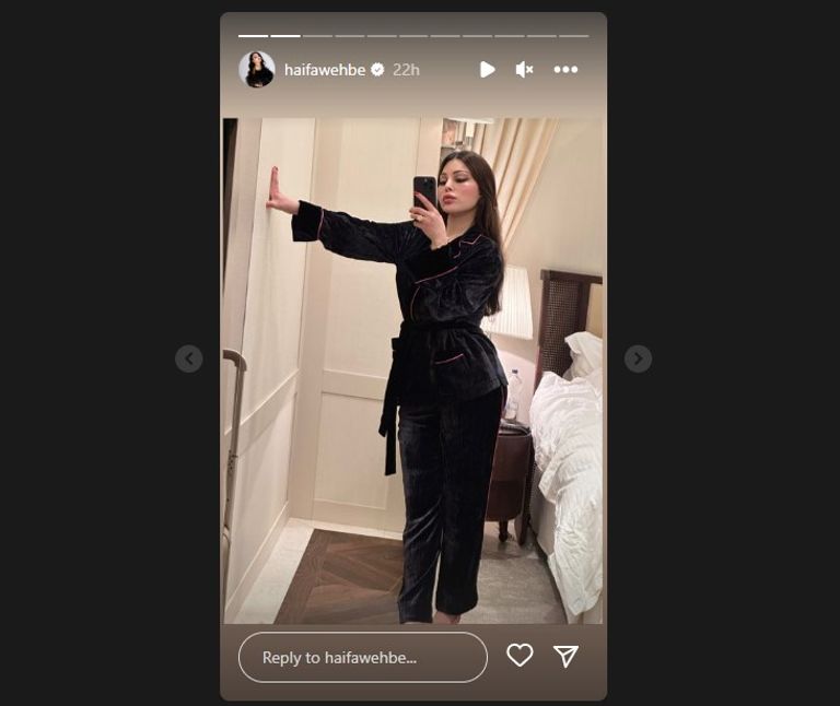 الفنانة اللبنانية هيفاء وهبي