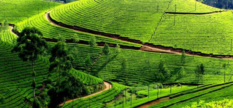 محمية بو لونج الطبيعية أحد أماكن السياحة في وادي ماي تشاو السياحة في وادي ماي تشاو