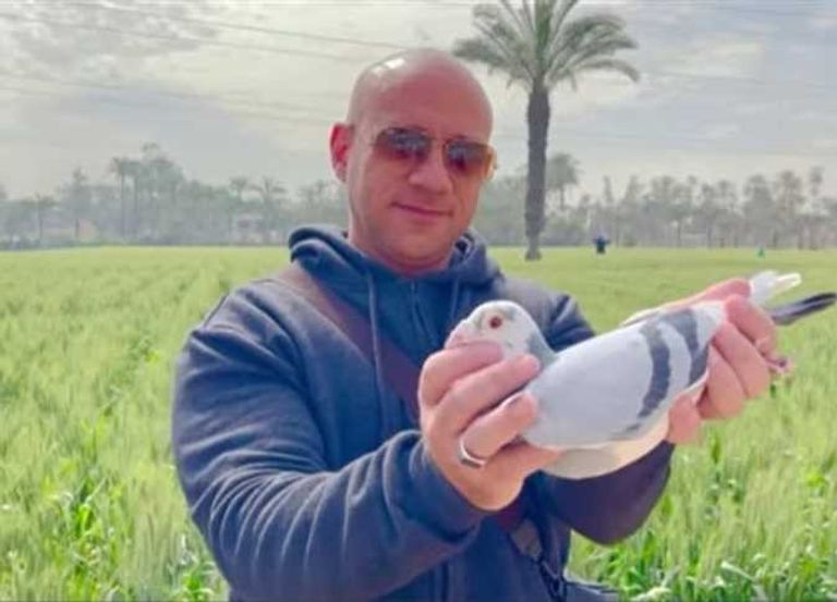 رامز أمير مع الطائر المصاب
