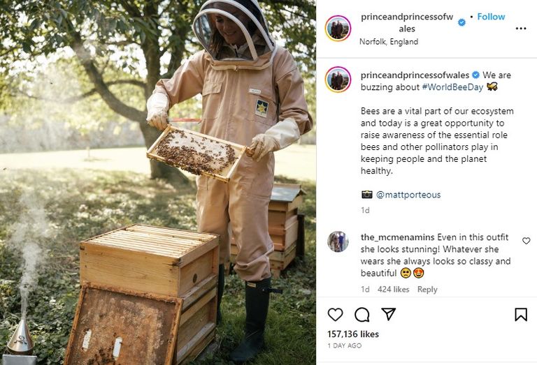 الأميرة كيت ميدلتون