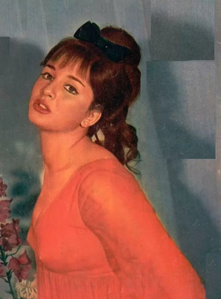 الفنانة نبيلة عبيد 