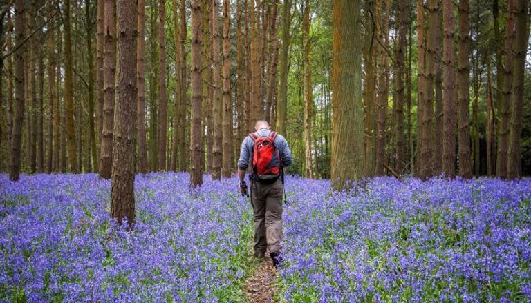 سيلان الأنف والعطس من أبرز أعراض حساسية حبوب اللقاح- أرشيفية