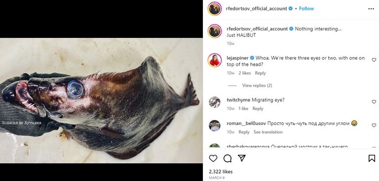 سمكة غريبة ضمن مجموعة اكتشافات وثقها المصور