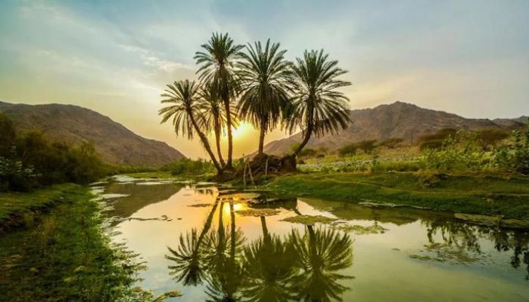 أفضل المحميات الطبيعية في السعودية