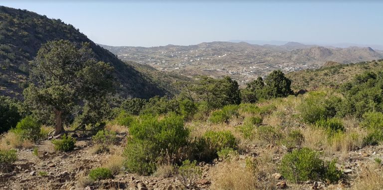 محمية " Al Soudah Park" أحد أفضل المحميات الطبيعة في السعودية أفضل المحميات الطبيعية في السعودية