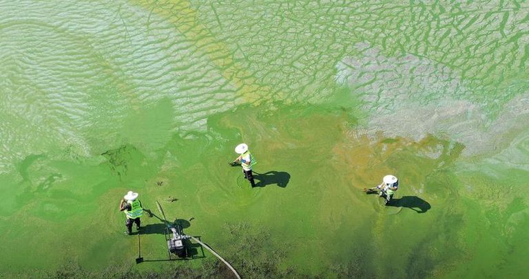 ما عواقب تغير المناخ على العالم الطبيعي؟