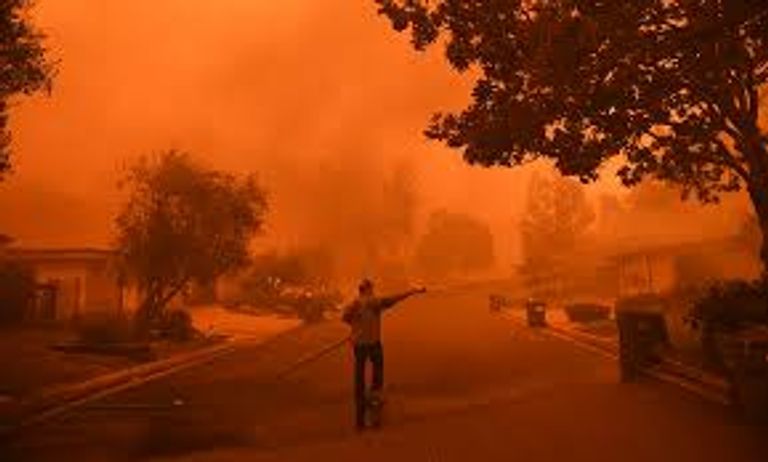 ما عواقب تغير المناخ على العالم الطبيعي؟