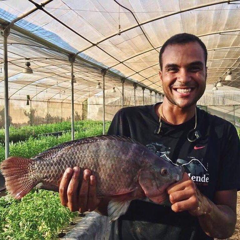 الزراعة بدون تربة لمواجهة النقص المائي