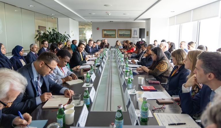 مريم بنت محمد المهيري وزيرة التغير المناخي والبيئة الإماراتية