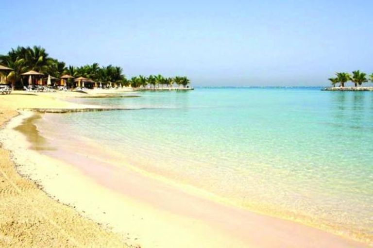 شرم أبحر أحد أفضل أماكن السياحة البيئية في السعودية أفضل أماكن السياحة البيئية في السعودية…نظرة ثاقبة على المستقبل الأخضر