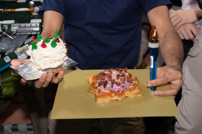 الاحتفال بعيد ميلاد سلطان النيادي