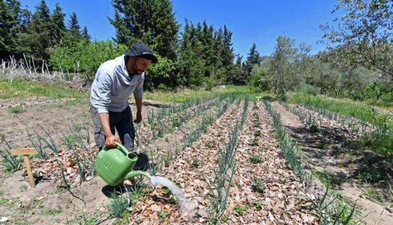 الزراعة الدائمة في تونس