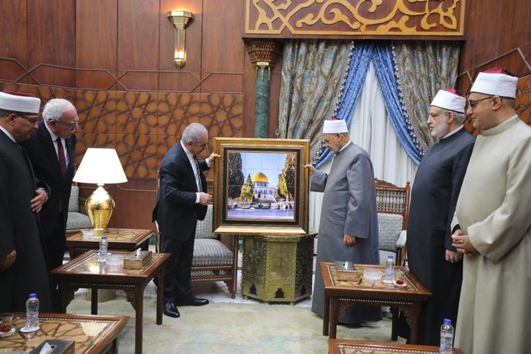 الدكتور أحمد الطيب شيخ الأزهر الشريف - أرشيفية