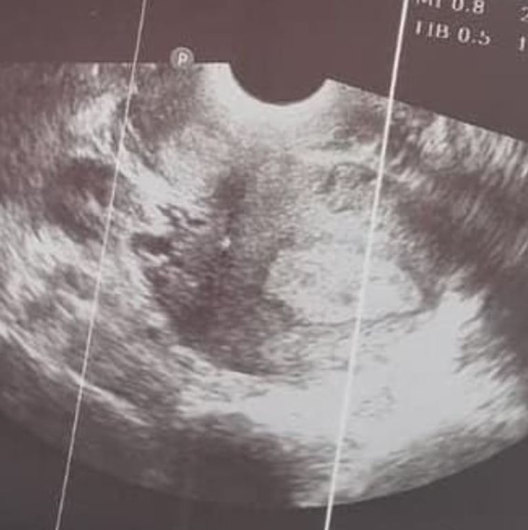 أدهم نابلسي