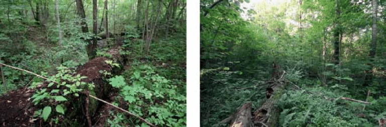 الأراضي الزراعية المهجورة تمثل فرصة لعزل الكربون