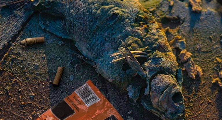 اليوم العالمي للتوقف عن التدخين يوافق 31 مايو من كل عام