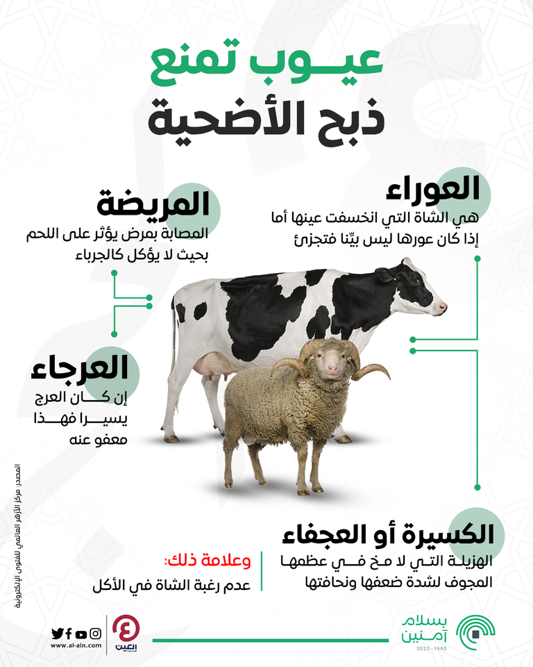 أمور لا تجوز في الأضاحي فما هي؟