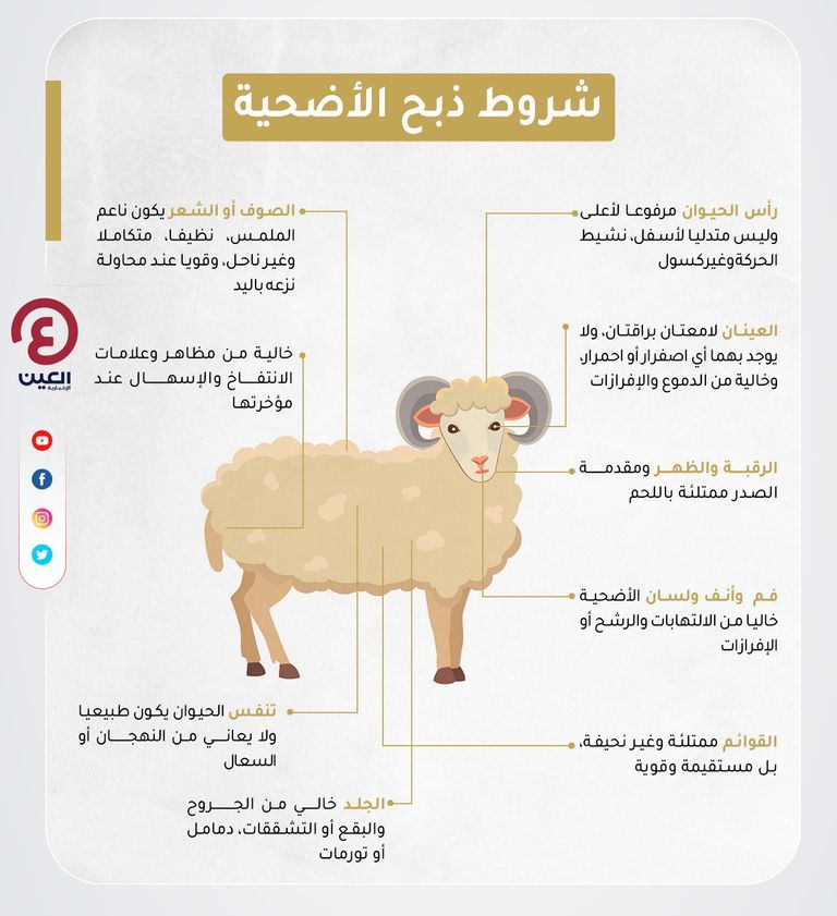 تحديد عمر الأضحية من أسنانها تحديد عمر الأضحية من أسنانها