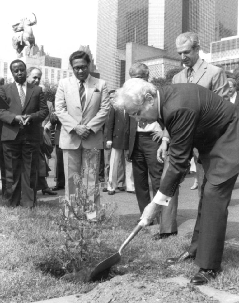 يوم البيئة العالمي