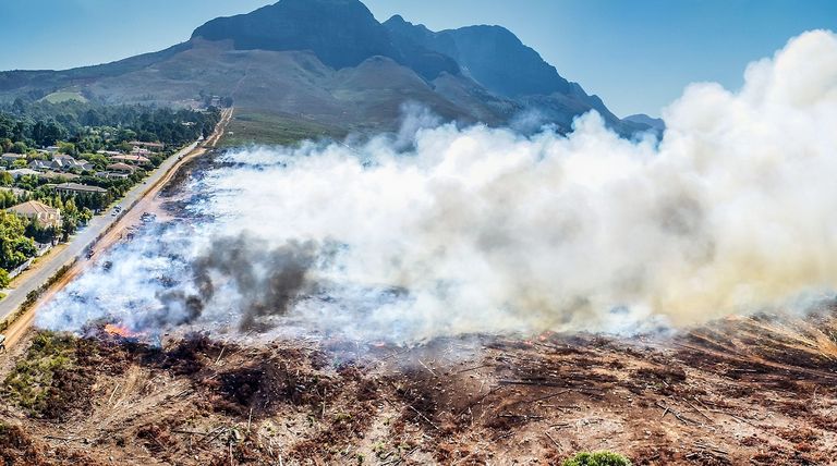 رجل إطفاء يضرم النيران المفتعلة في الحشائش