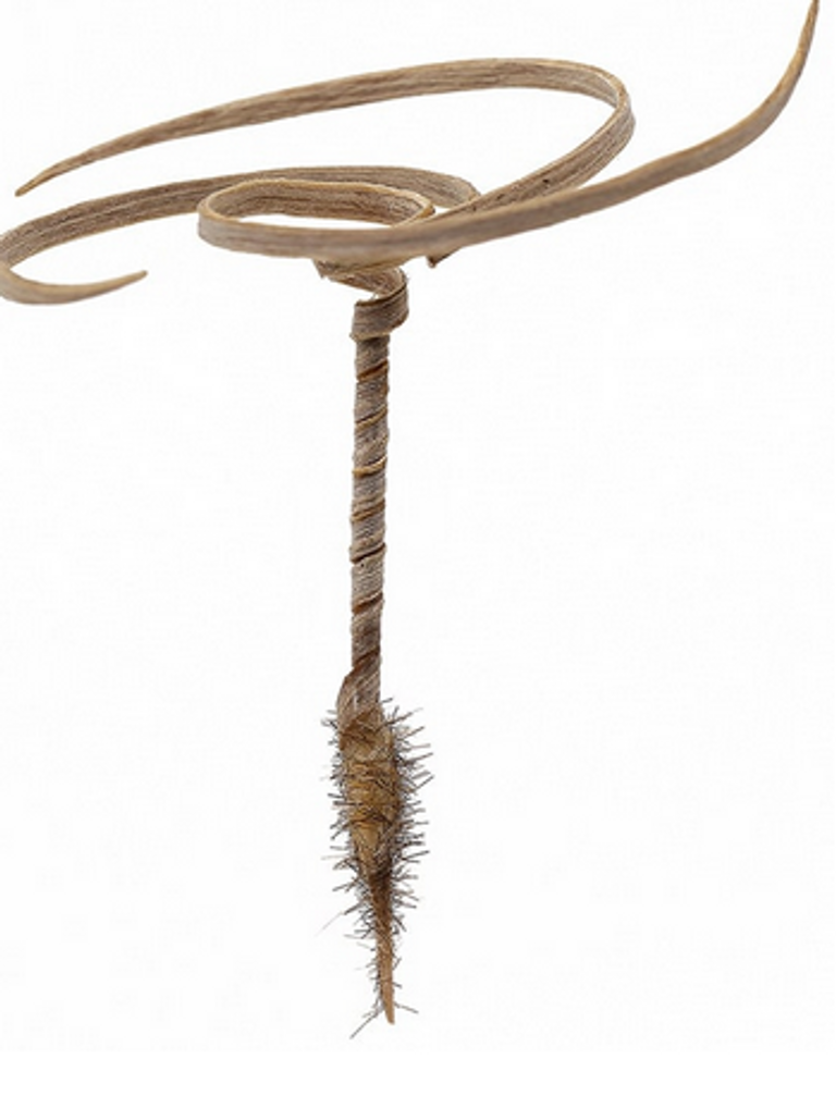 مستقبل الأشياء.. خمس تقنيات يمكن أن تقلب نشاط الزراعة رأسًا على عقب؟