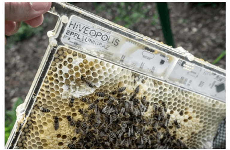 مستقبل الأشياء.. خمس تقنيات يمكن أن تقلب نشاط الزراعة رأسًا على عقب؟