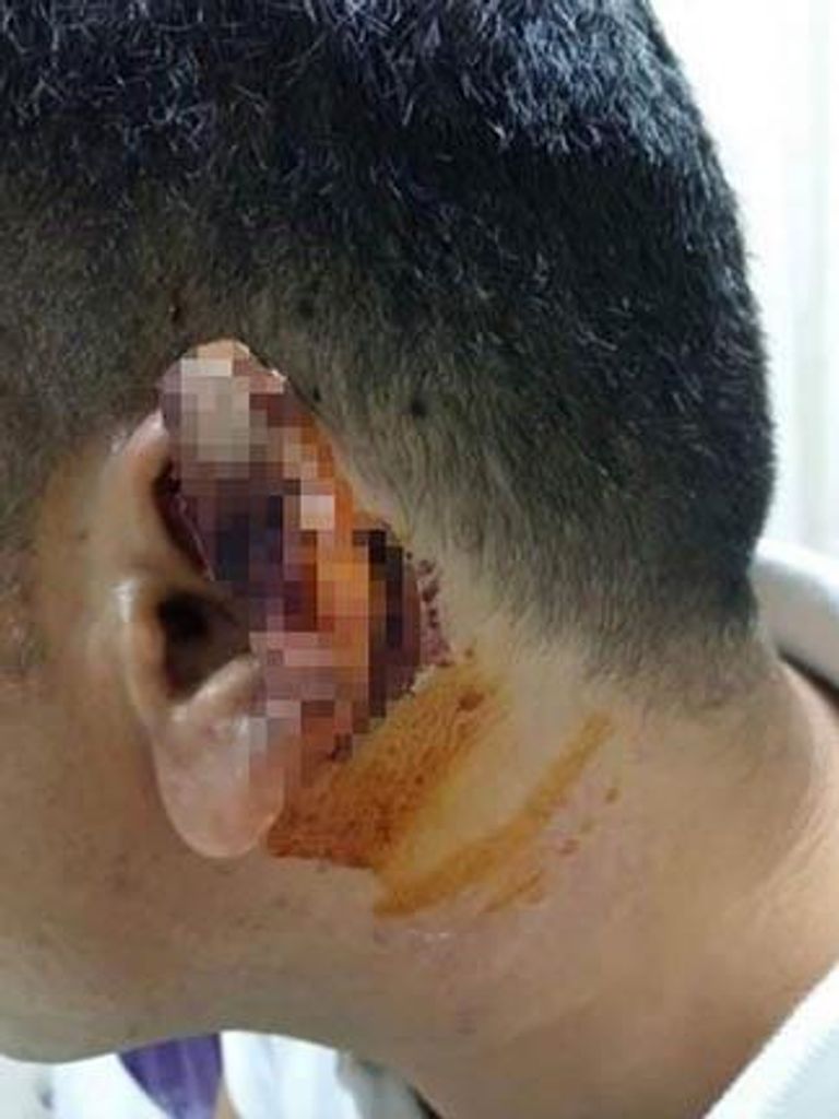 طائر النورس- أرشيفية