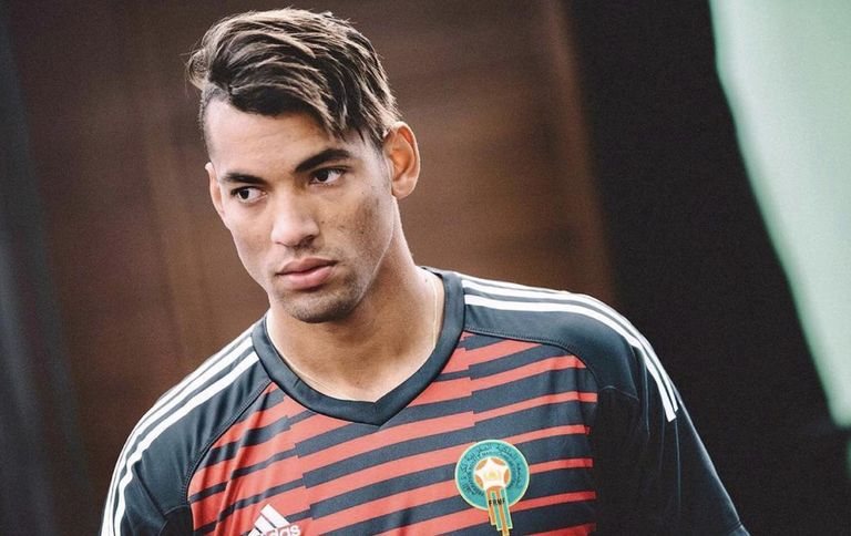  محمد رضا التاكنواتي