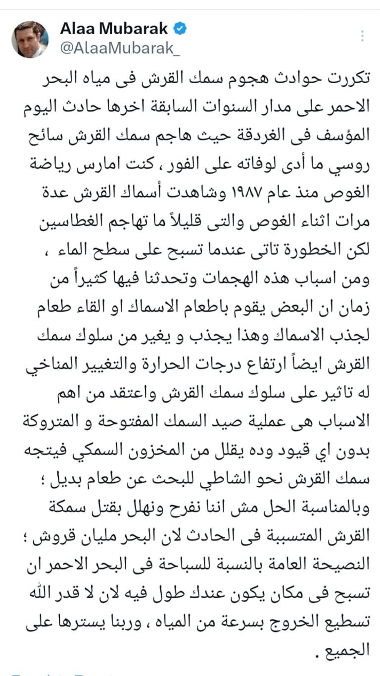 لقطة من فيديو هجوم القرش على السائح الروسي