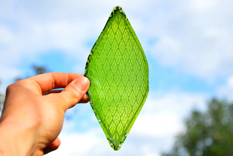 مستعمرات الفضاء