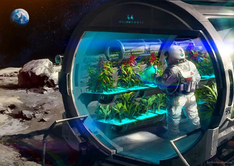 مستعمرات الفضاء