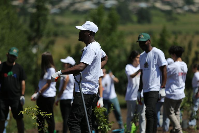 منظمة نوبل لاند