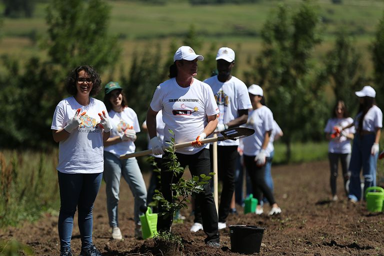 منظمة نوبل لاند