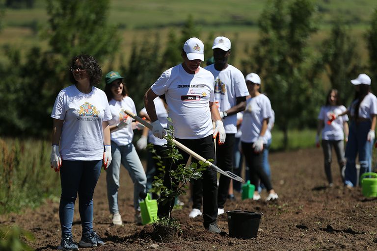 منظمة نوبل لاند