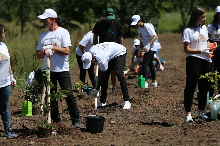 منظمة نوبل لاند