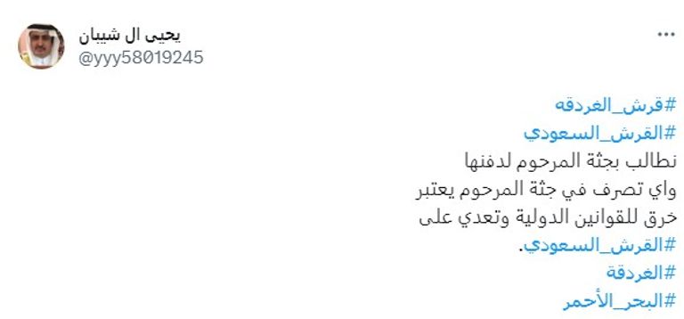 سمكة قرش فوق رأسها رسم العقال