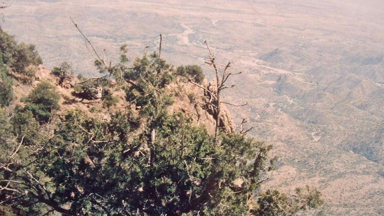 محمية إرف اليمنية