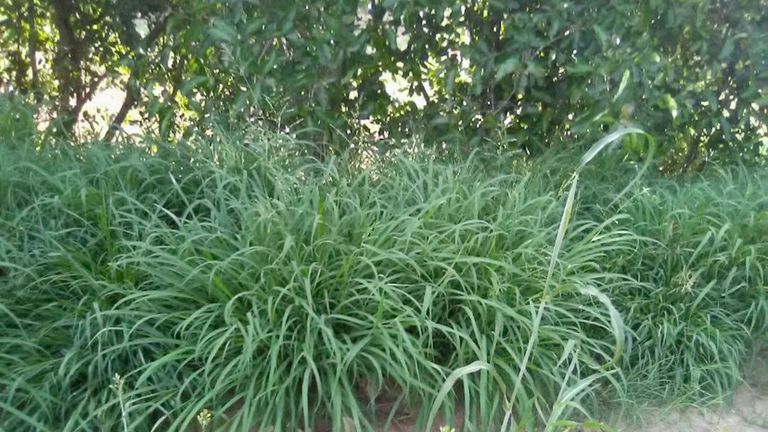 محمية إرف اليمنية