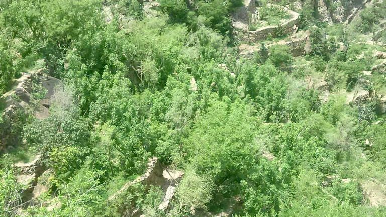 محمية إرف اليمنية