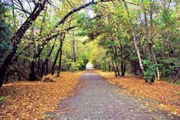 متنزه مارماريس الوطني أحد أجمل الحدائق في تركيا الطبيعة في تركيا.. حدائق وشواطئ وغابات بكر مذهلة