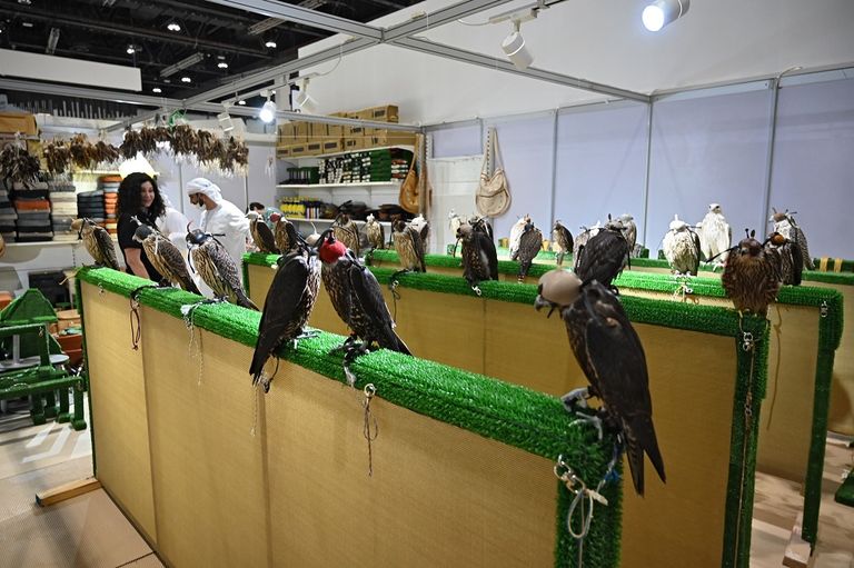 جانب من فعاليات المعرض