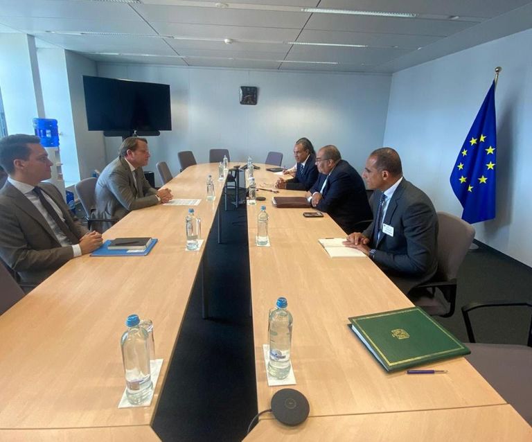 الدكتور محيي الدين مع عددٍ من المسؤولين الأوروبيين