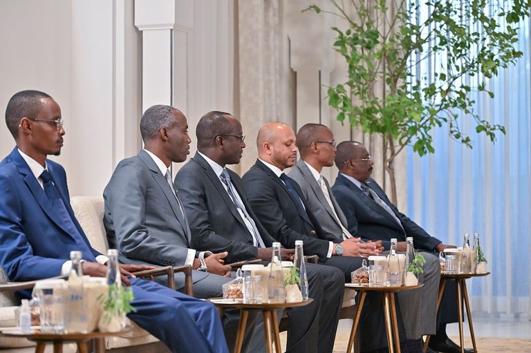 جانب من لقاء الشيخ محمد بن زايد آل نهيان مع الرئيس الانتقالي لتشاد