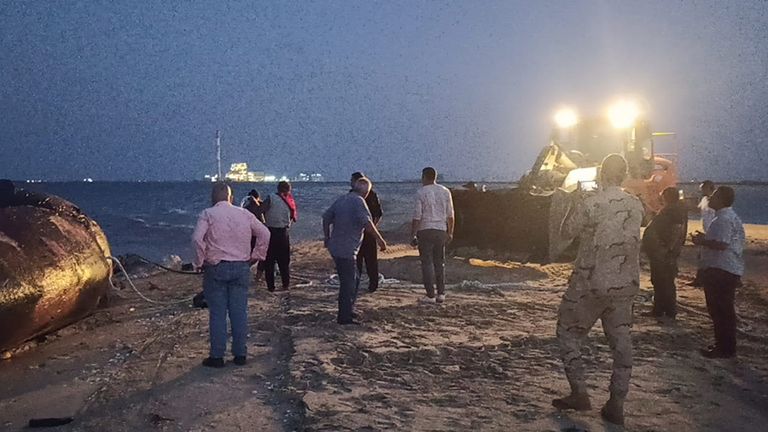 حوت نافق في مصر