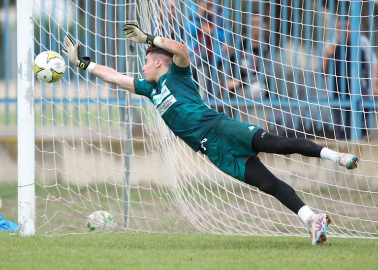 إدريس العرفاوي