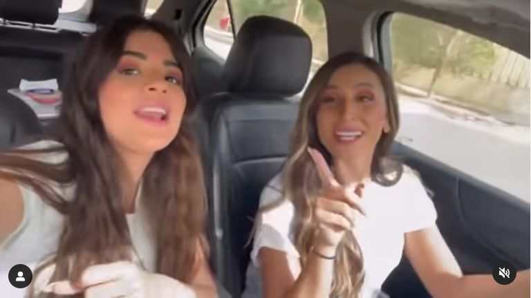 تامر حسني ودينا الشربيني