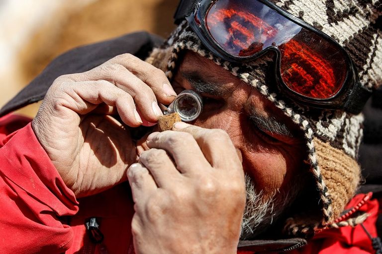 لحظة معاينة بقايا الديناصور