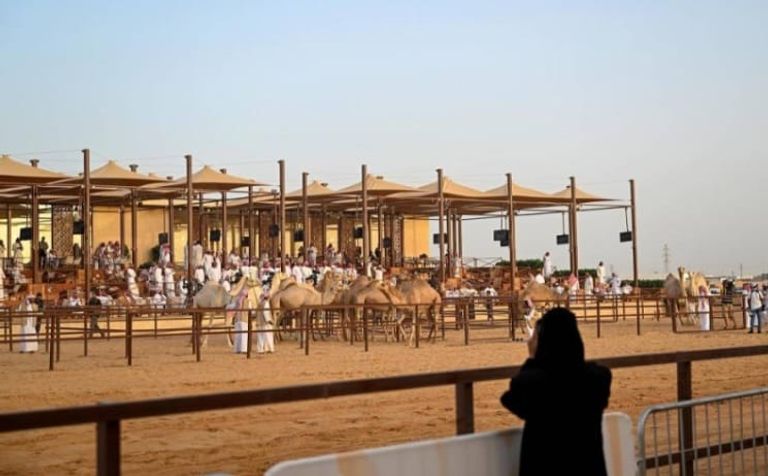 جمهور كبير من النساء في جادة الإبل بتبوك