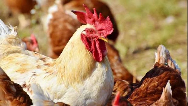 صورة تعبيرية